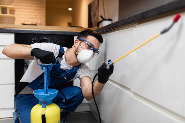 Best Cockroach Control Services  in Homer, IL