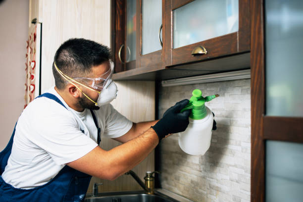 Best Emergency Pest Control  in Homer, IL