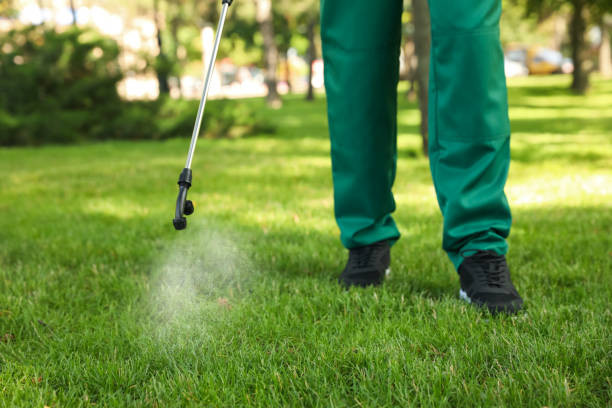 Best Cockroach Control Services  in Homer, IL