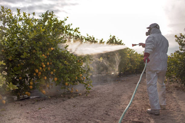 Best Emergency Pest Control  in Homer, IL