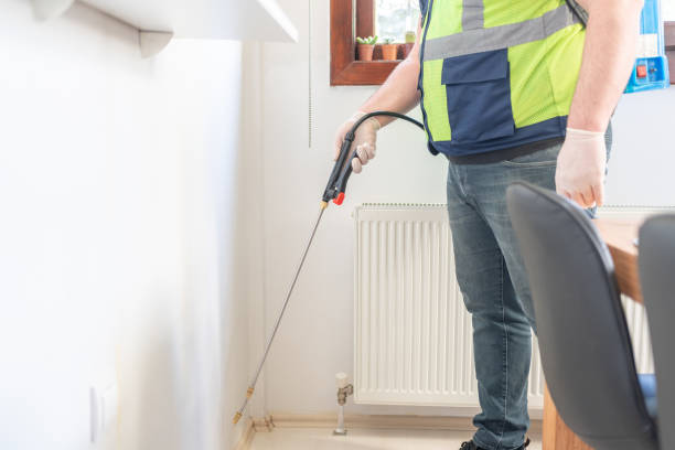 Best Rat Extermination Near Me  in Homer, IL