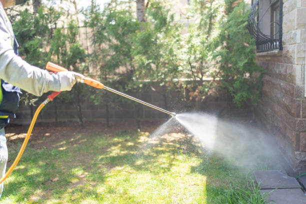 Best Pest Control Treatment  in Homer, IL