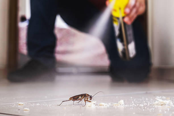 Best Pest Prevention Services  in Homer, IL